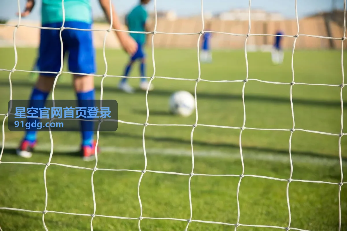 星空官网首页登录入口分布位置